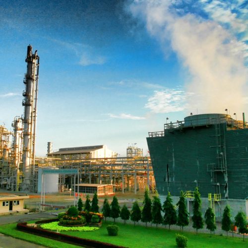 WhatsApp Image 2023-07-23 at 09.56.38 (1)